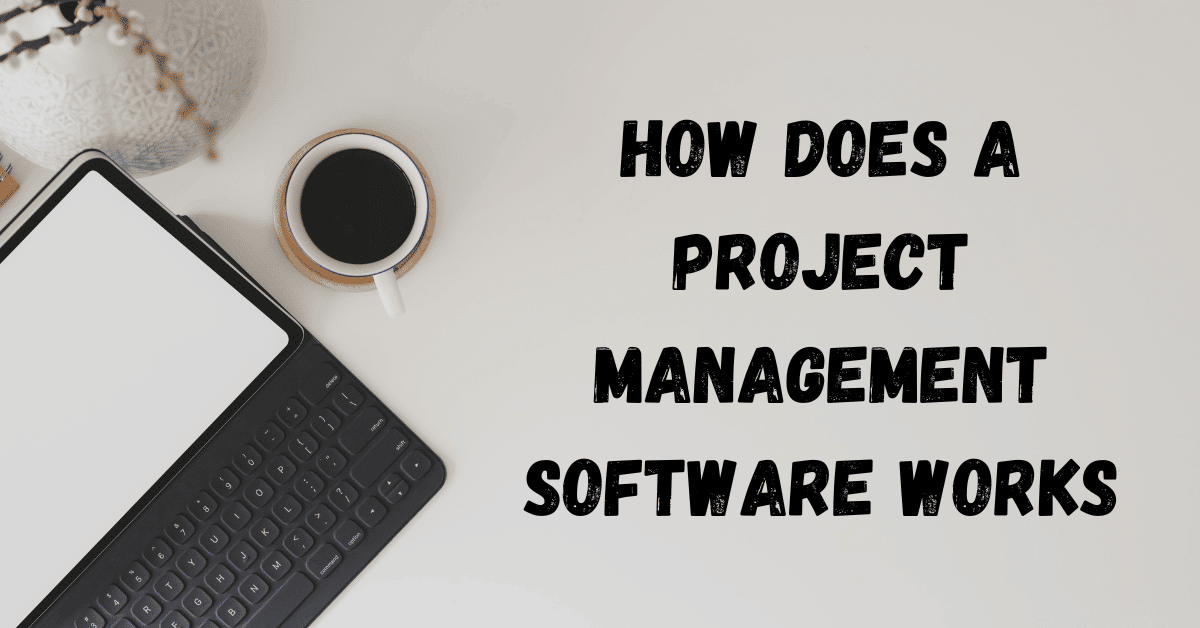 How Does a Project Management Software Works