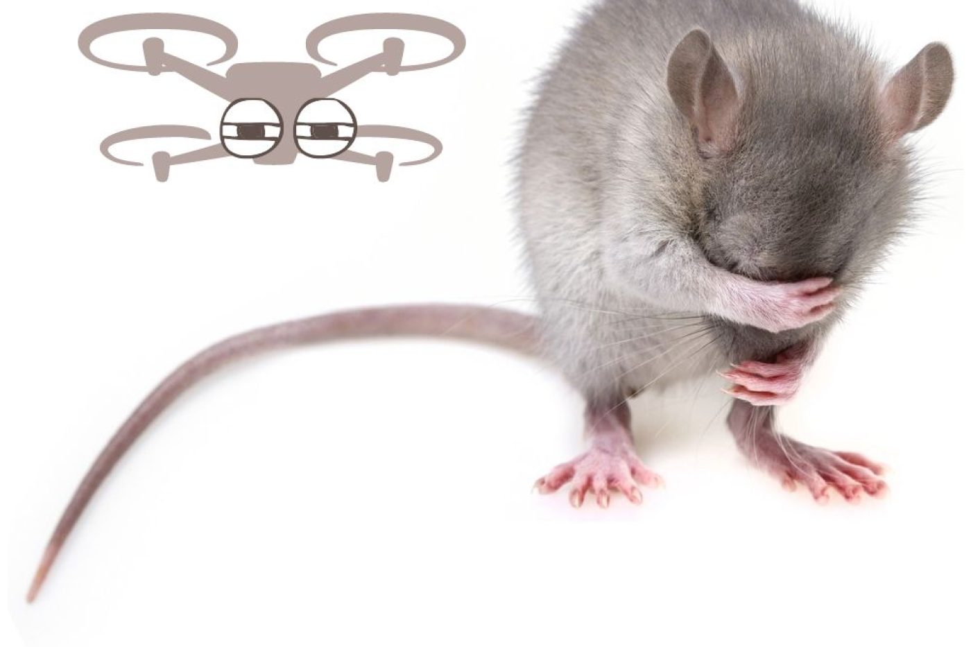 How Modern Tech Is Improving Pest Control