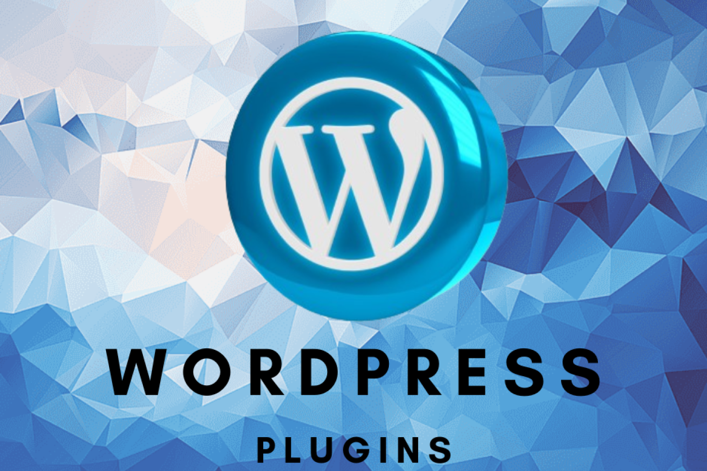 underswtanding wordpress plugin tools